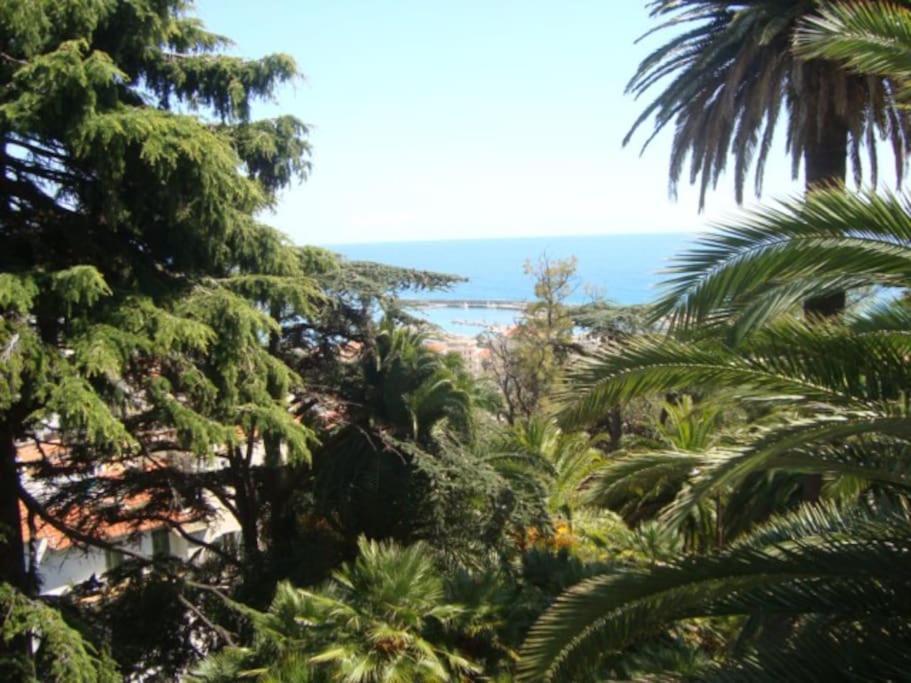 Mini Accommodation In Sanremo Liguria Bagian luar foto